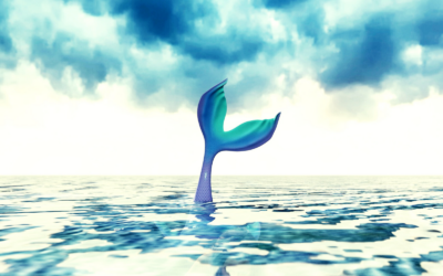 The Mermaids Tale